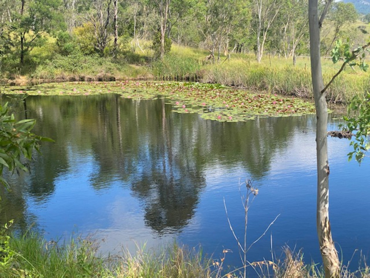 701 Candelo Wolumla Road, Toothdale - Image 1
