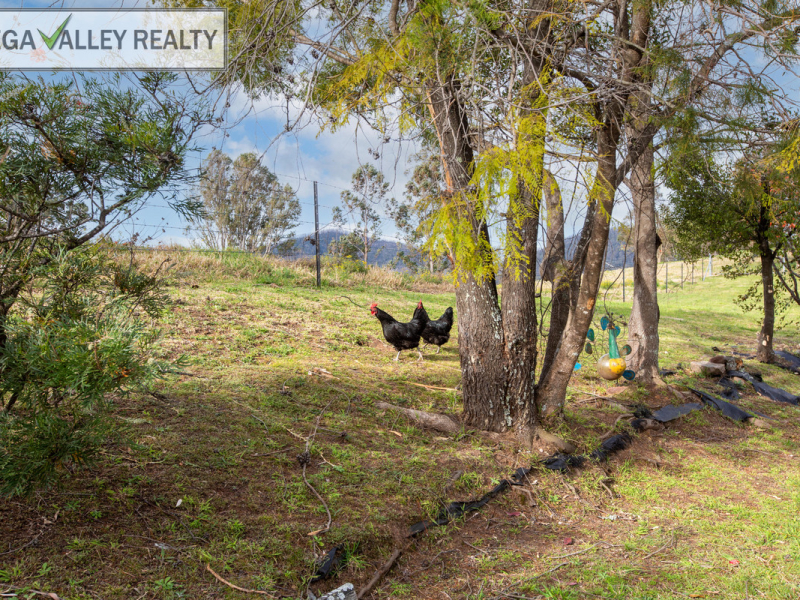 81 Yowrie Road, Wandella, NSW 2550 AUS