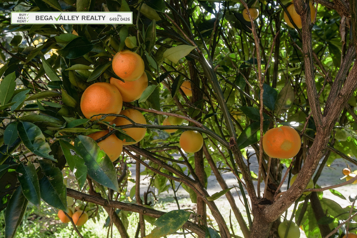 133 Kerrisons Lane, Bega - Thumbnail 3