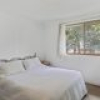 227-277 Alcock Collins Road, Bemboka, NSW 2550 AUS