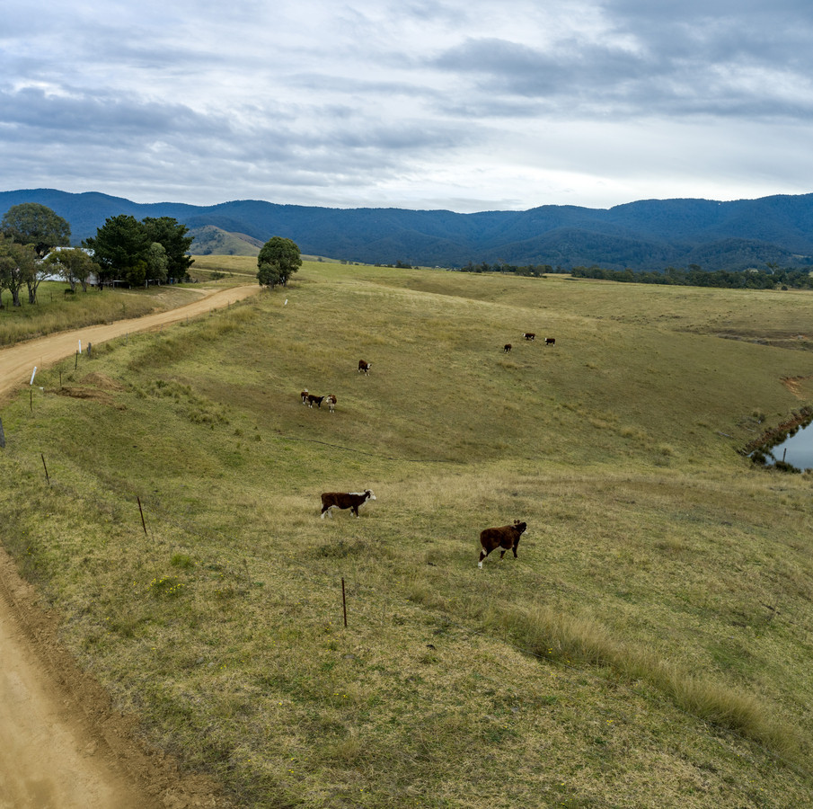227-277 Alcock Collins Road, Bemboka - Thumbnail 4