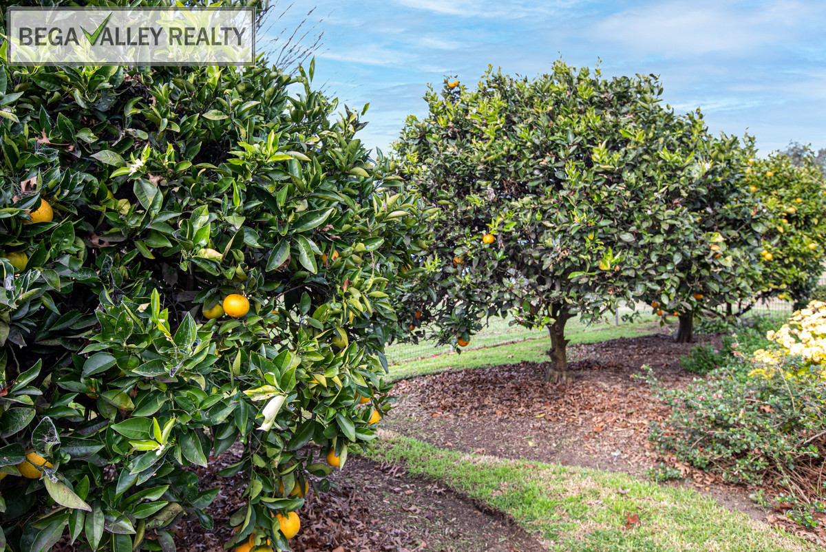 80 Parrabel Street, Bega - Thumbnail 7