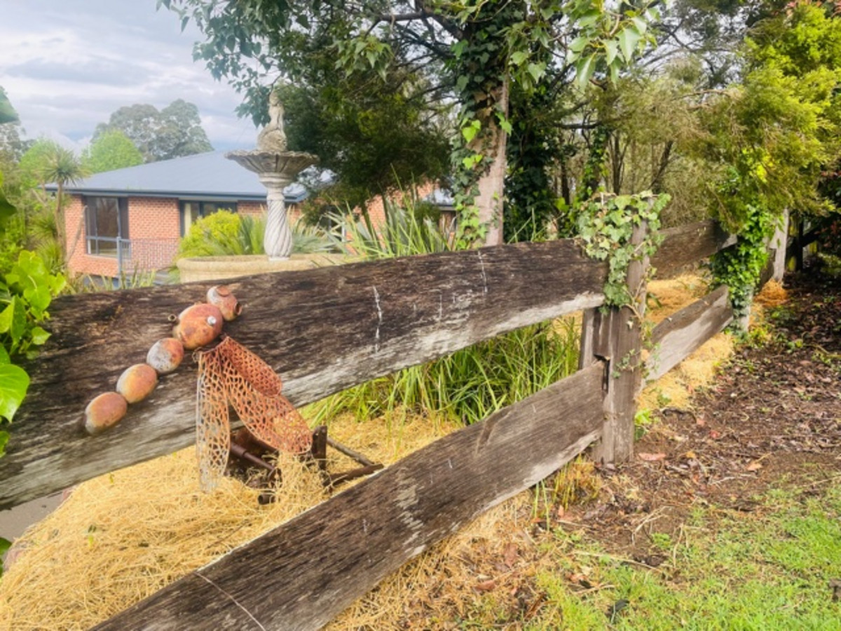 10 Redgum Close, Bega - Image 1