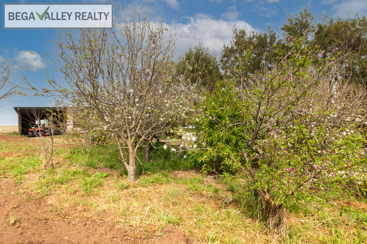 475 West Kameruka Road, Kameruka - Thumbnail 3