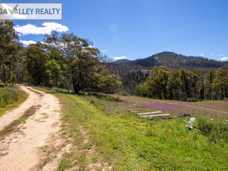 1376 Tantawangalo Mtn Road, Candelo, NSW 2550 AUS