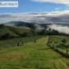 418 Peak Hill Road, Bega, NSW 2550 AUS