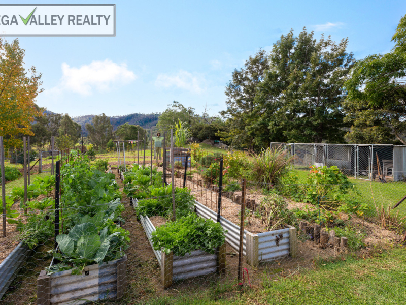 14 Waterloo Creek Road, Brogo, NSW 2550 AUS