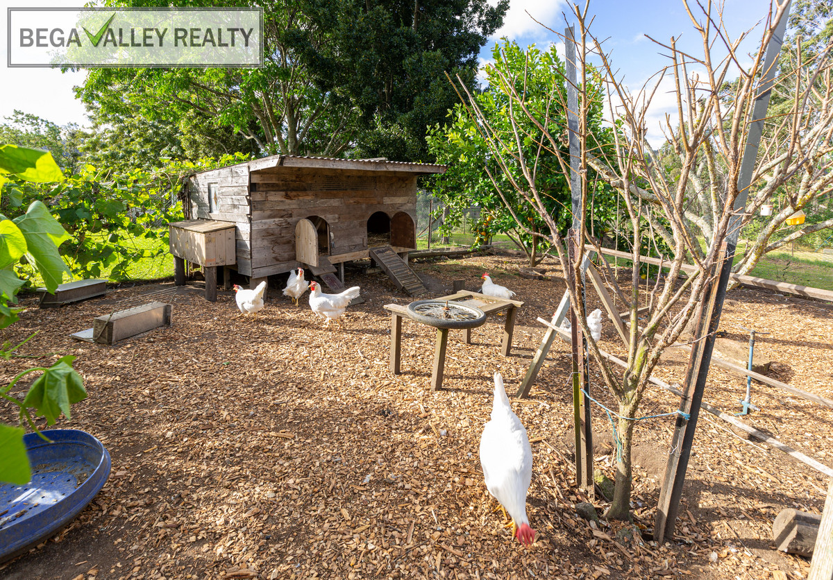 14 Waterloo Creek Road, Brogo - Thumbnail 5
