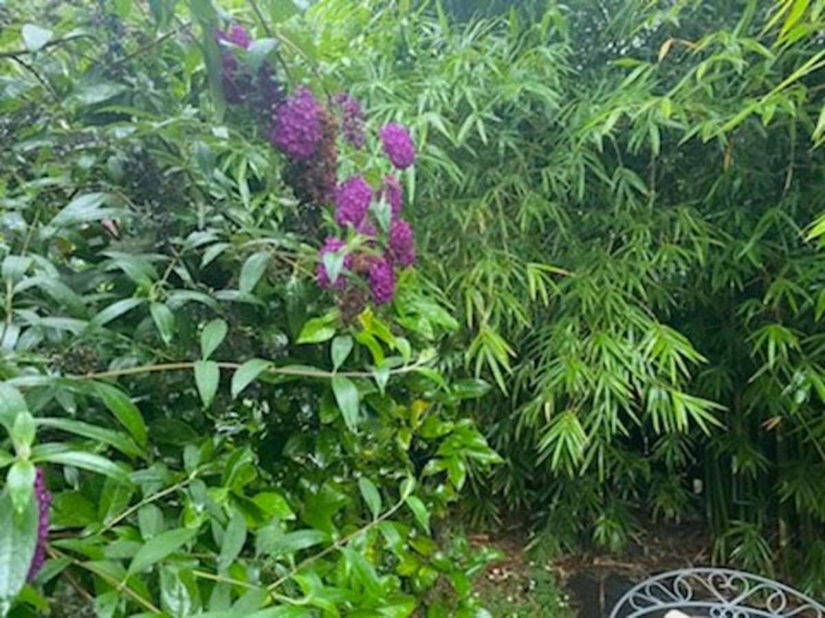 4 Minyama Parade, Bega - Thumbnail 5