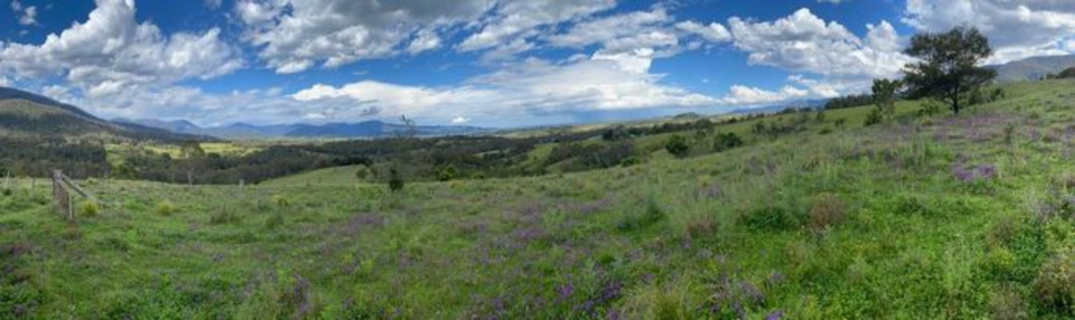 Lot 2/3712 Snowy Mnt Highway, Bemboka - Thumbnail 2