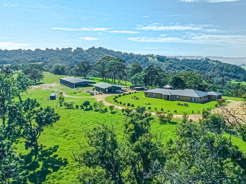 568 Coopers Gully Road, Bega, NSW 2550 AUS