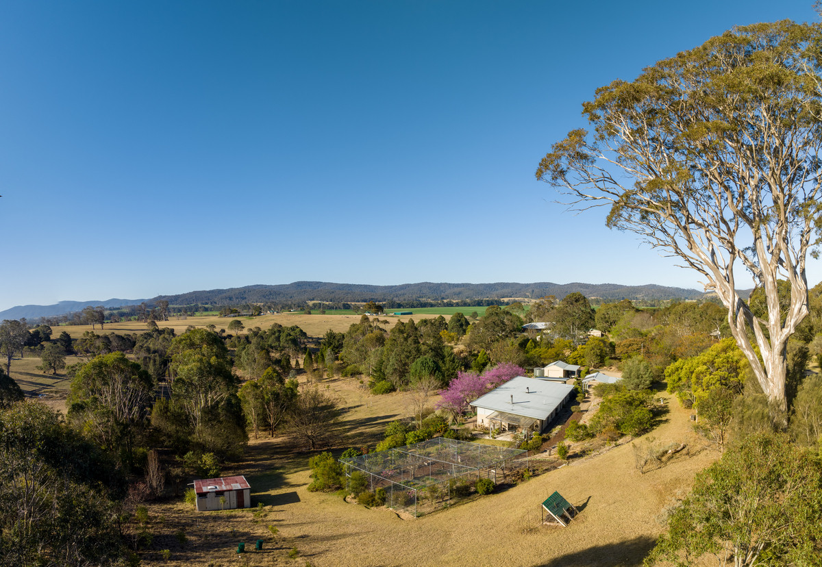 44 Narrawa Place, Bega - Thumbnail 6