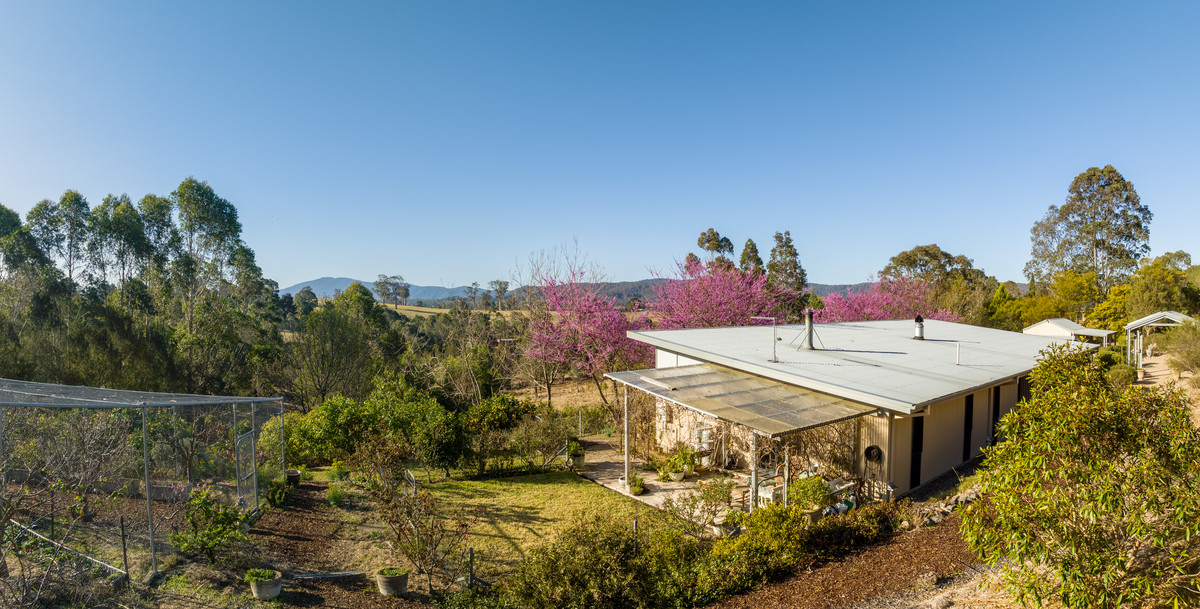 44 Narrawa Place, Bega - Thumbnail 2