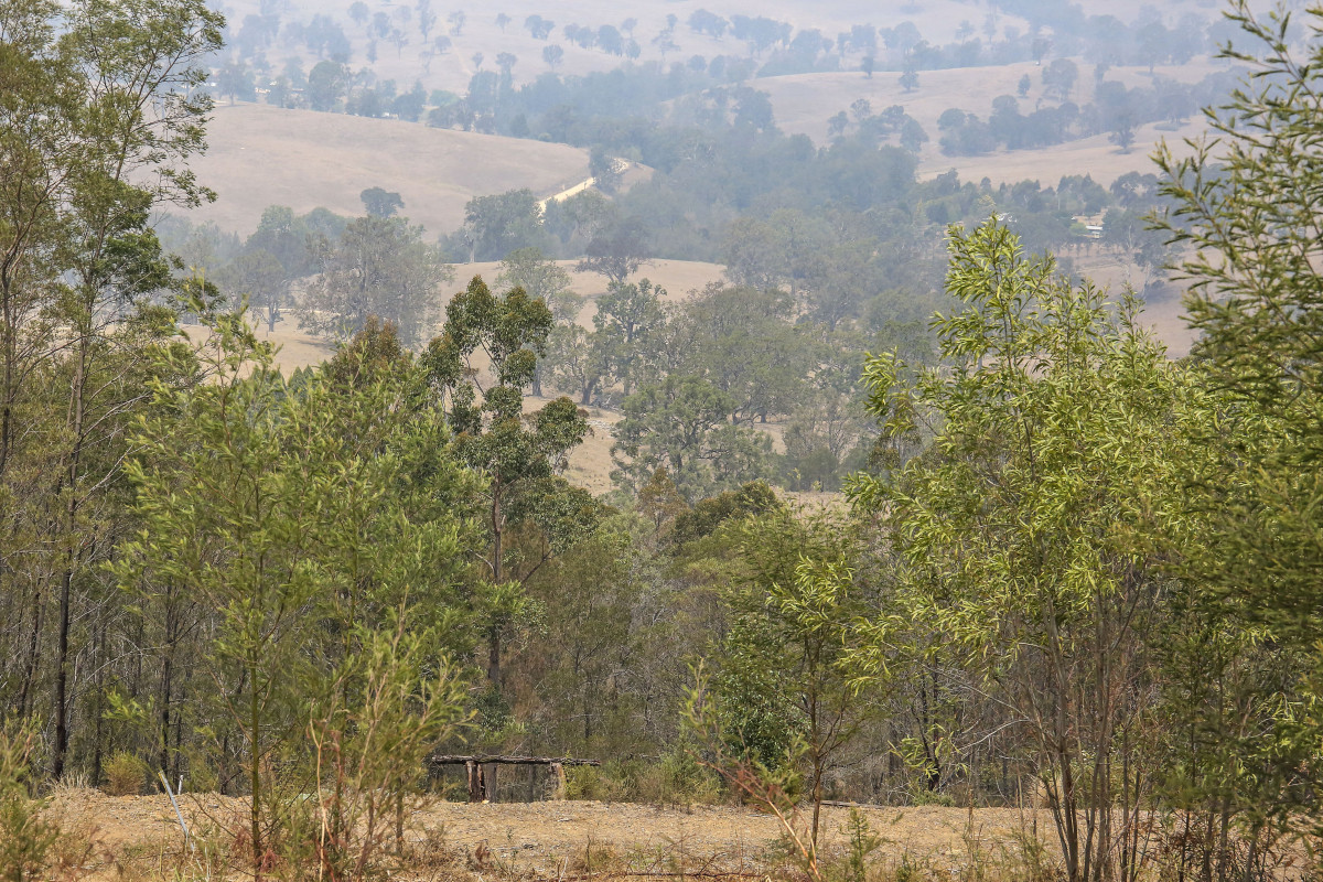 713 Upper Cobargo Road, Bega - Thumbnail 8
