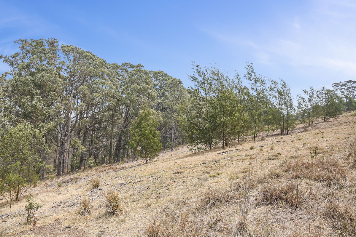 713 Upper Cobargo Road, Bega - Thumbnail 6