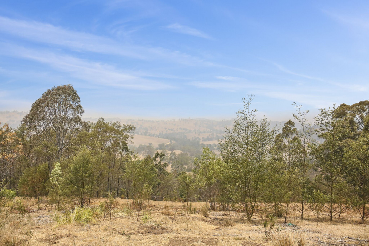 713 Upper Cobargo Road, Bega - Thumbnail 2