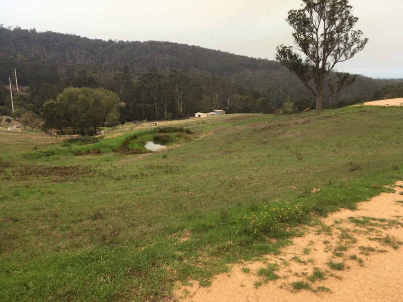 lot 660 Mine Lane, Wolumla, NSW 2550 AUS