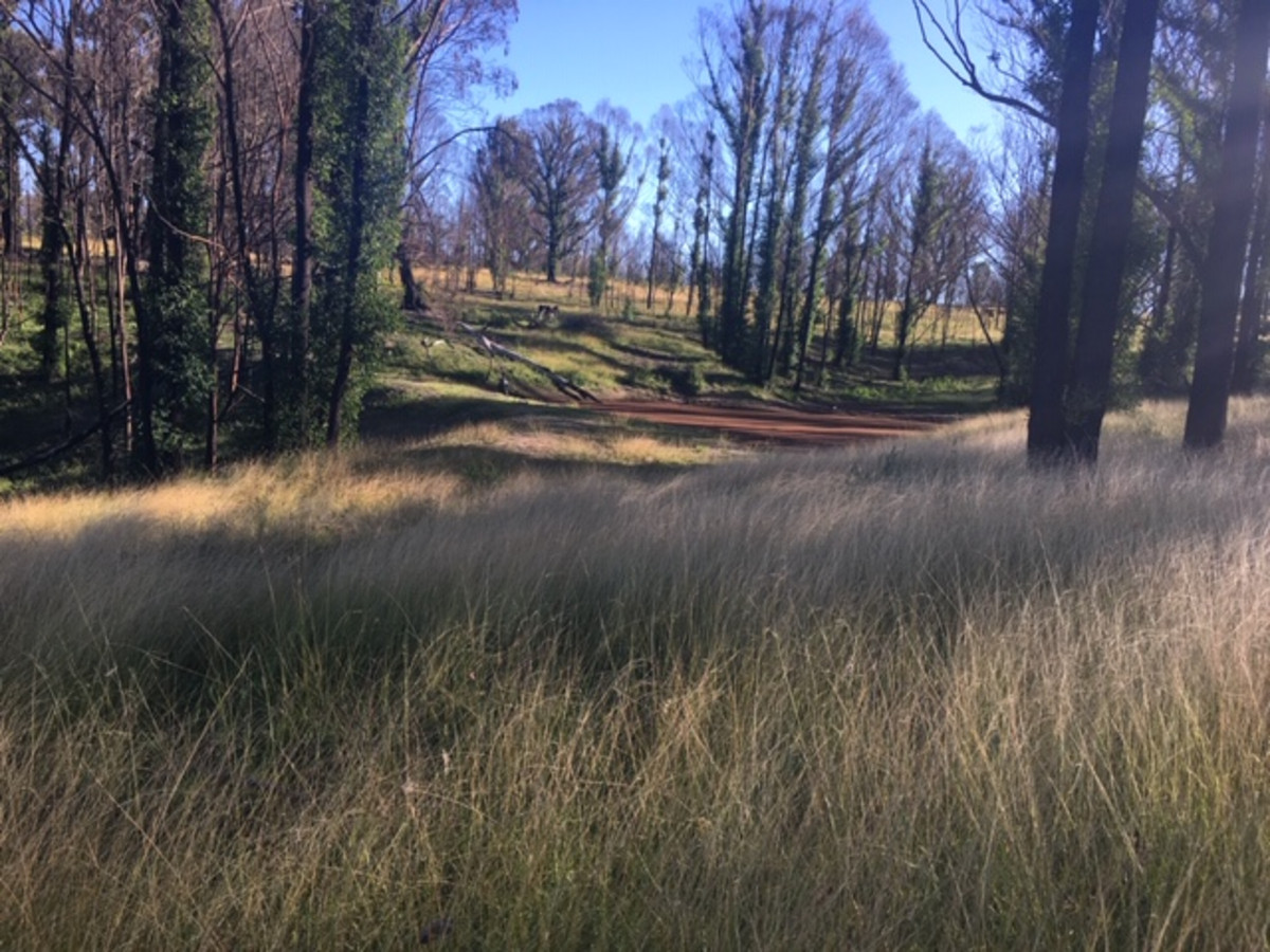 160 Christophers Road, Quaama - Thumbnail 7