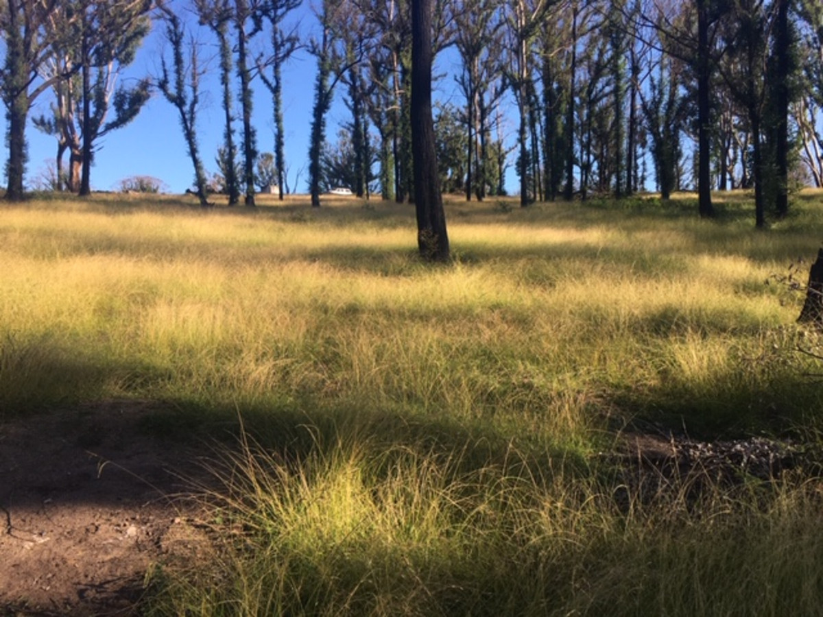 160 Christophers Road, Quaama - Thumbnail 5