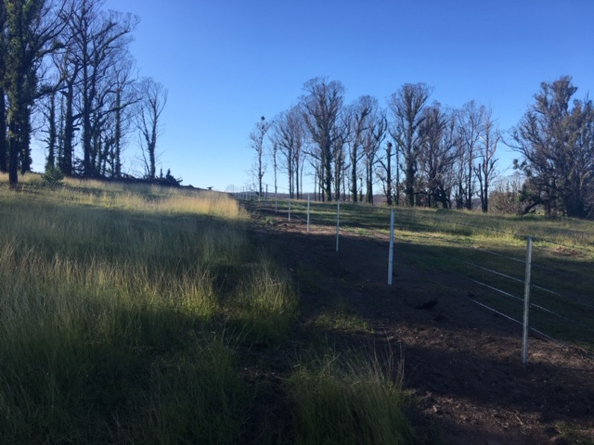 160 Christophers Road, Quaama - Thumbnail 4
