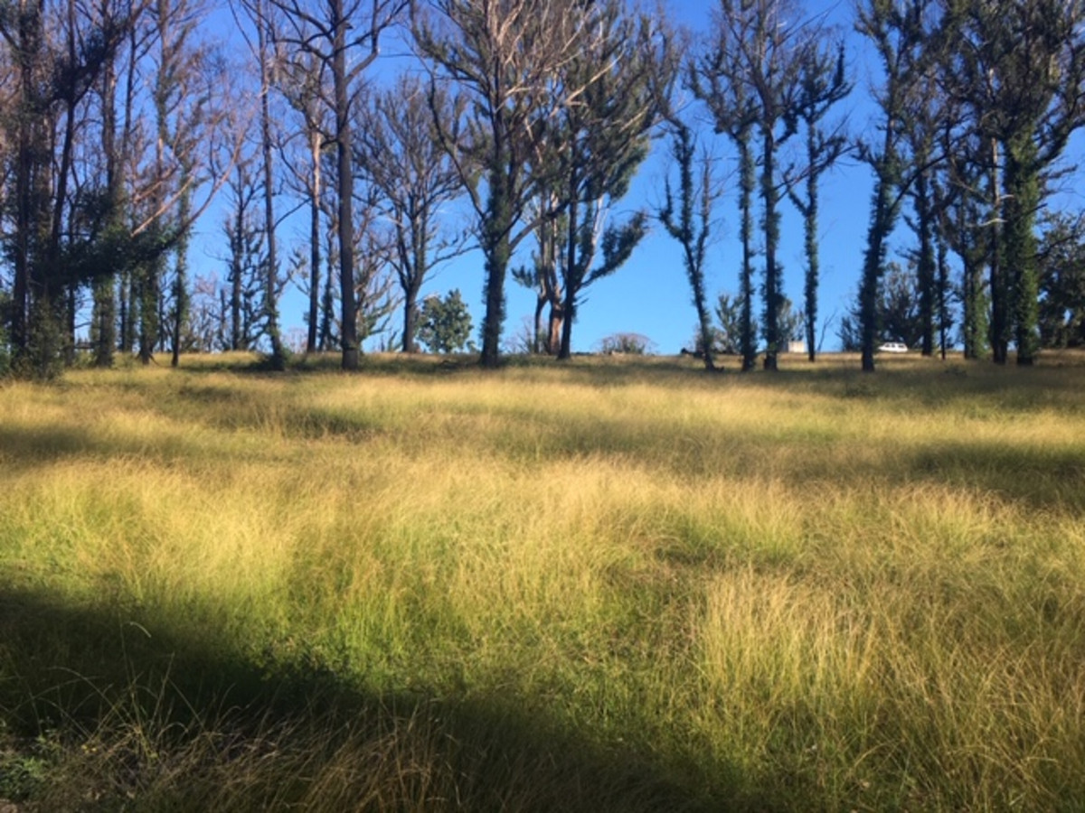 160 Christophers Road, Quaama - Thumbnail 8