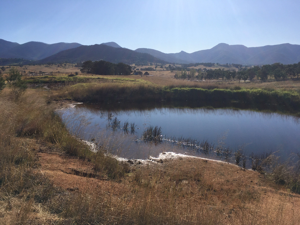 Barretts Road, Bemboka - Thumbnail 7