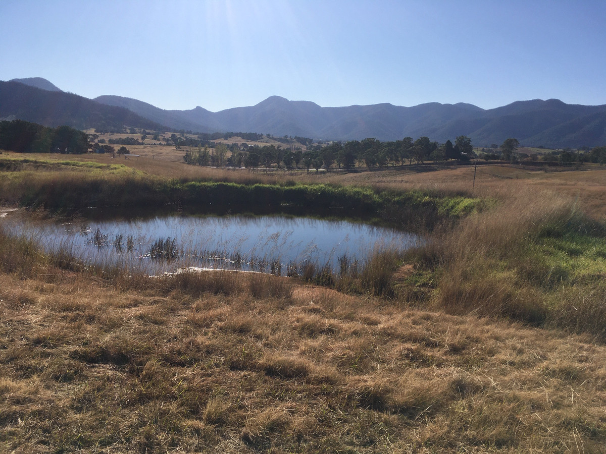Barretts Road, Bemboka - Thumbnail 6