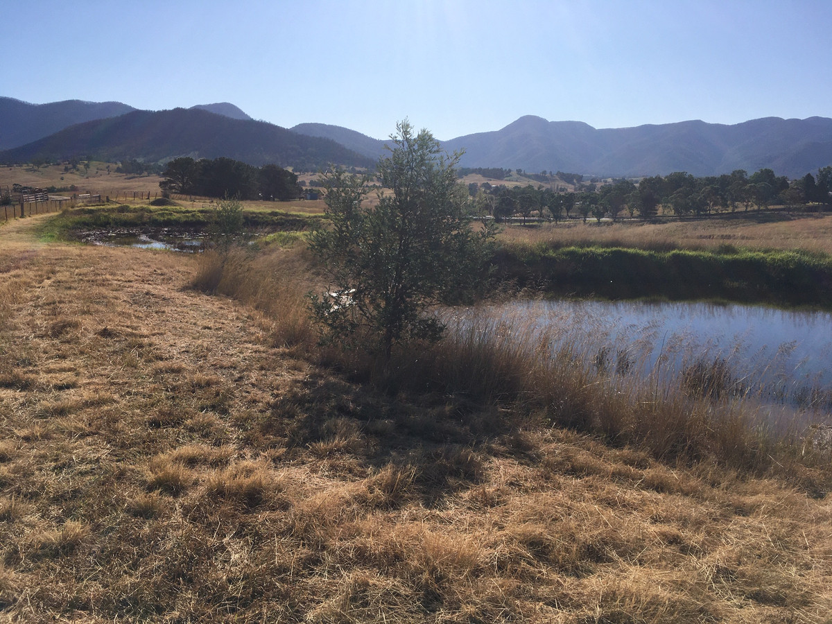 Barretts Road, Bemboka - Thumbnail 5