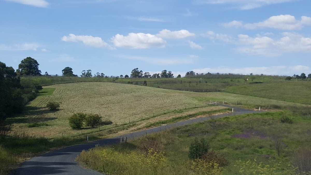 19 Curyo Lane, Bega - Thumbnail 4