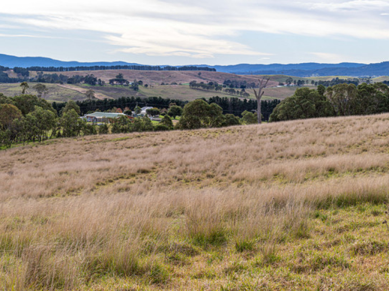 Lot 402 South Wolumla Road, Candelo, NSW 2550 AUS