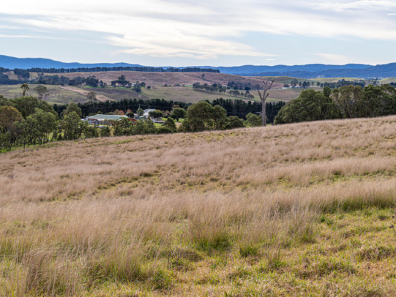 Lot 402 South Wolumla Road, Candelo, NSW 2550 AUS