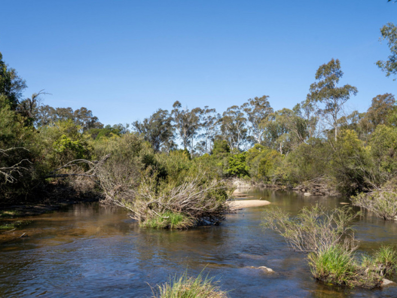 1 3712 Snowy Mountains Highway, Bemboka, NSW 2550 AUS