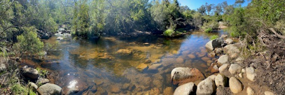 3712 Snowy Mountains Highway, Bemboka - Thumbnail 8