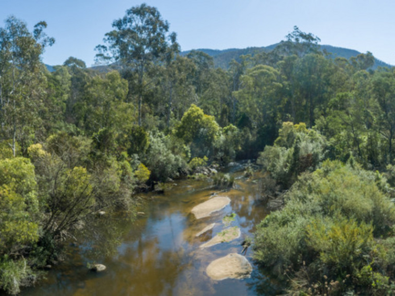 1 3712 Snowy Mountains Highway, Bemboka, NSW 2550 AUS