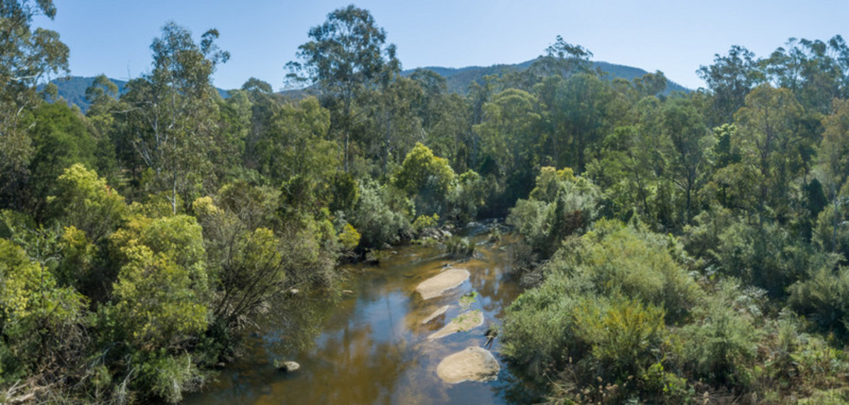 3712 Snowy Mountains Highway, Bemboka - Thumbnail 7