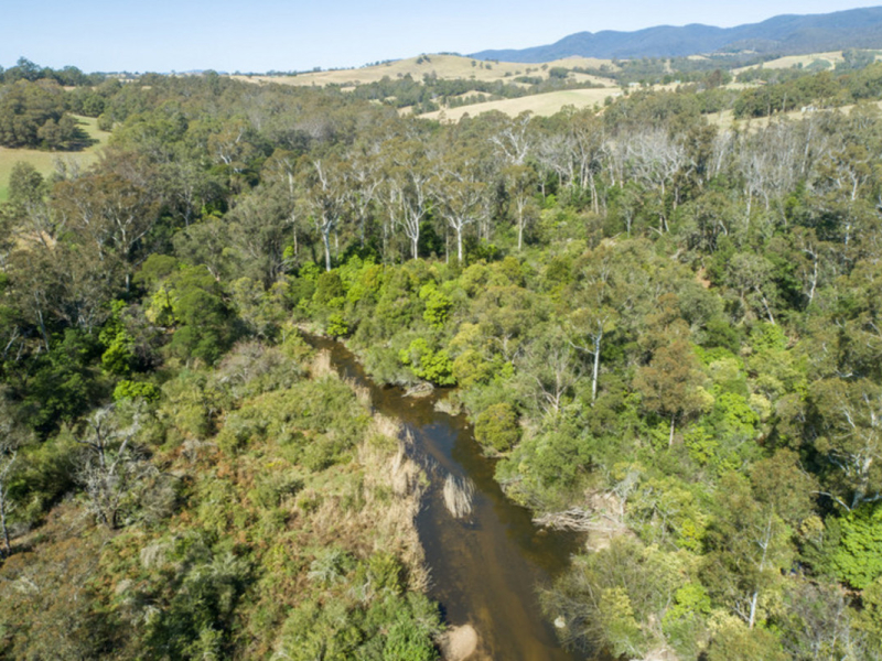 1 3712 Snowy Mountains Highway, Bemboka, NSW 2550 AUS