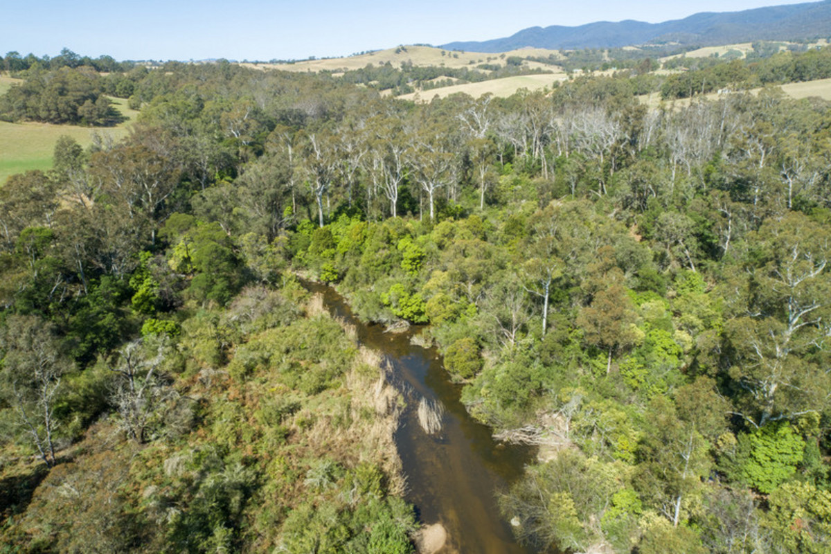 3712 Snowy Mountains Highway, Bemboka - Thumbnail 6