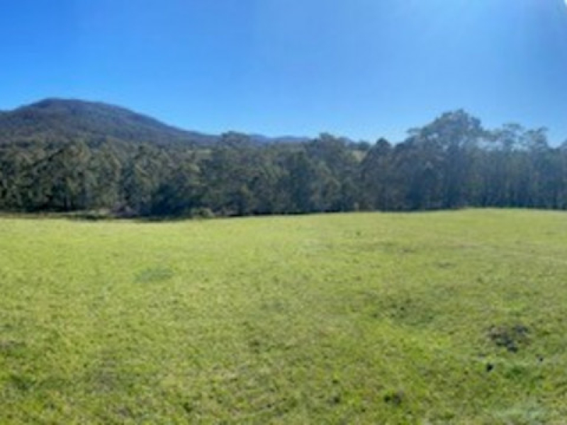 1 3712 Snowy Mountains Highway, Bemboka, NSW 2550 AUS