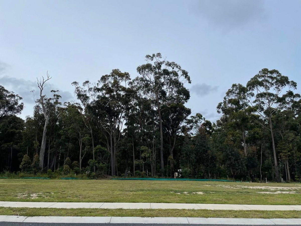 49 Lomandra Avenue, Kalaru - Thumbnail 6
