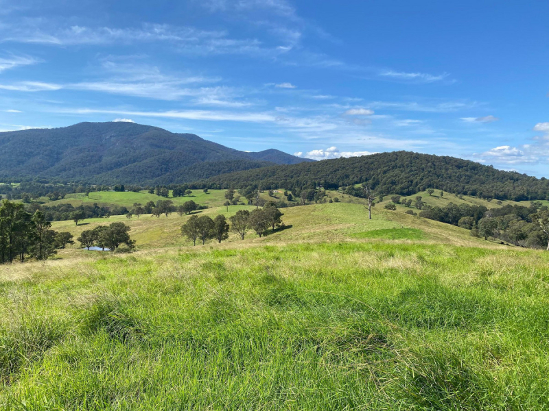 50 House Creek Road, Brogo, NSW 2550 AUS