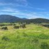 50 House Creek Road, Brogo, NSW 2550 AUS