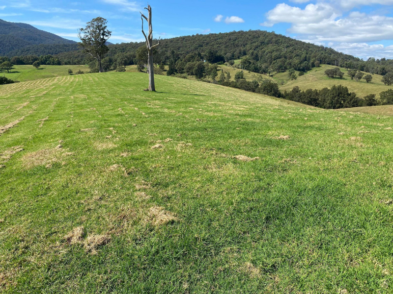 50 House Creek Road, Brogo, NSW 2550 AUS