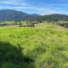 50 House Creek Road, Brogo, NSW 2550 AUS