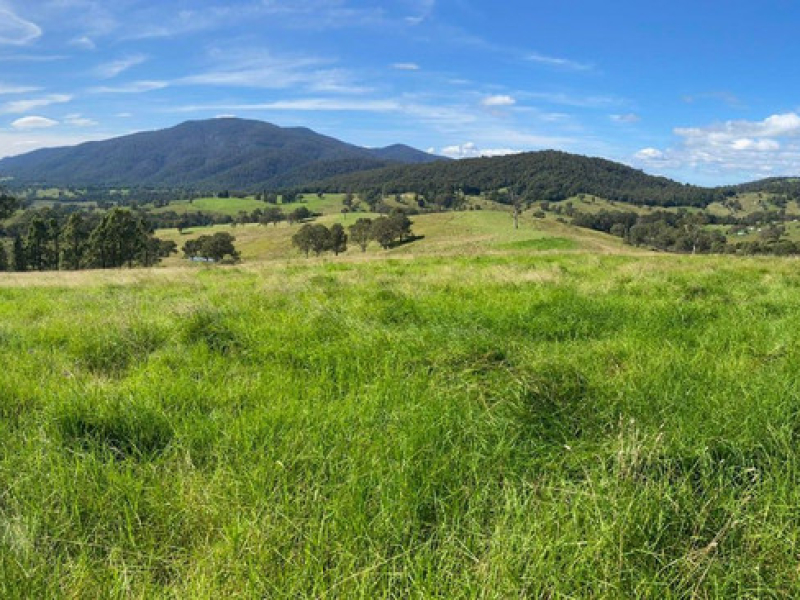 50 House Creek Road, Brogo, NSW 2550 AUS