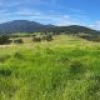 50 House Creek Road, Brogo, NSW 2550 AUS