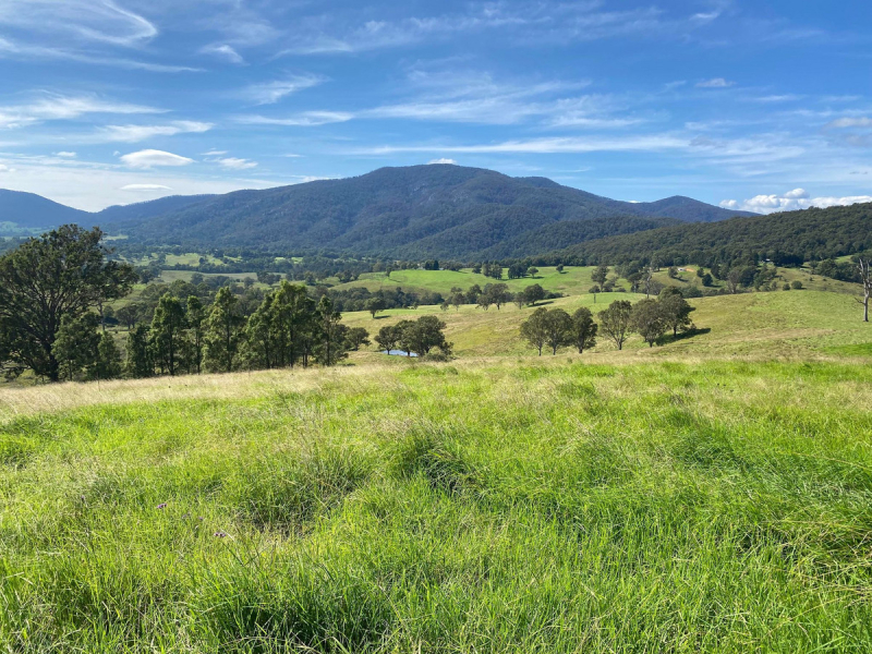 50 House Creek Road, Brogo, NSW 2550 AUS