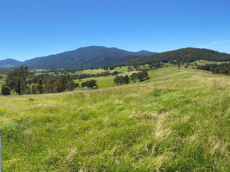 50 House Creek Road, Brogo, NSW 2550 AUS