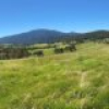 50 House Creek Road, Brogo, NSW 2550 AUS