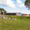 582 West Kameruka Road, Kameruka, NSW 2550 AUS