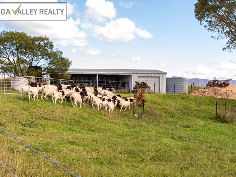 582 West Kameruka Road, Kameruka, NSW 2550 AUS